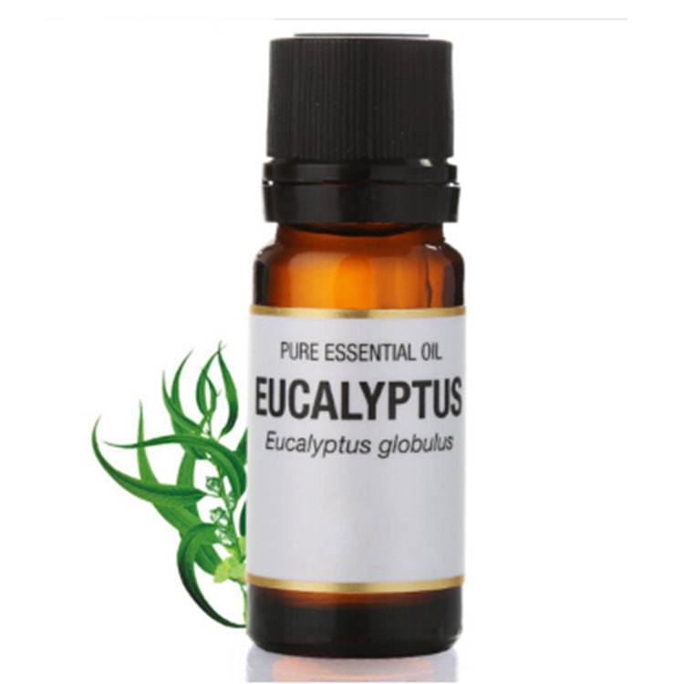 Eucalyptus Essential Oil 10ml for Hydration and Skincare